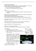 document-image