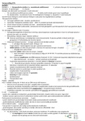 document-image