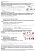 document-image