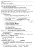 document-image