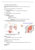 document-image