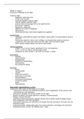 document-image
