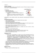 document-image