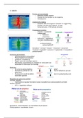 document-image