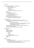 document-image