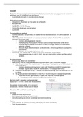 document-image