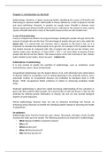 document-image