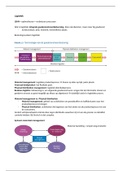 document-image