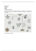 document-image