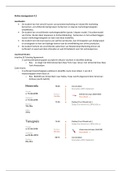 document-image