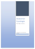 document-image