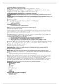 document-image