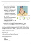 document-image