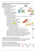 document-image
