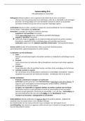 document-image