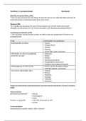document-image