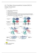 document-image