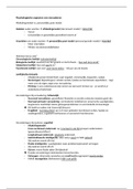 document-image