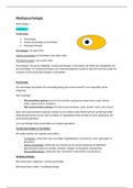 document-image