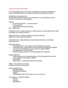 Latest Preview Thumbnail